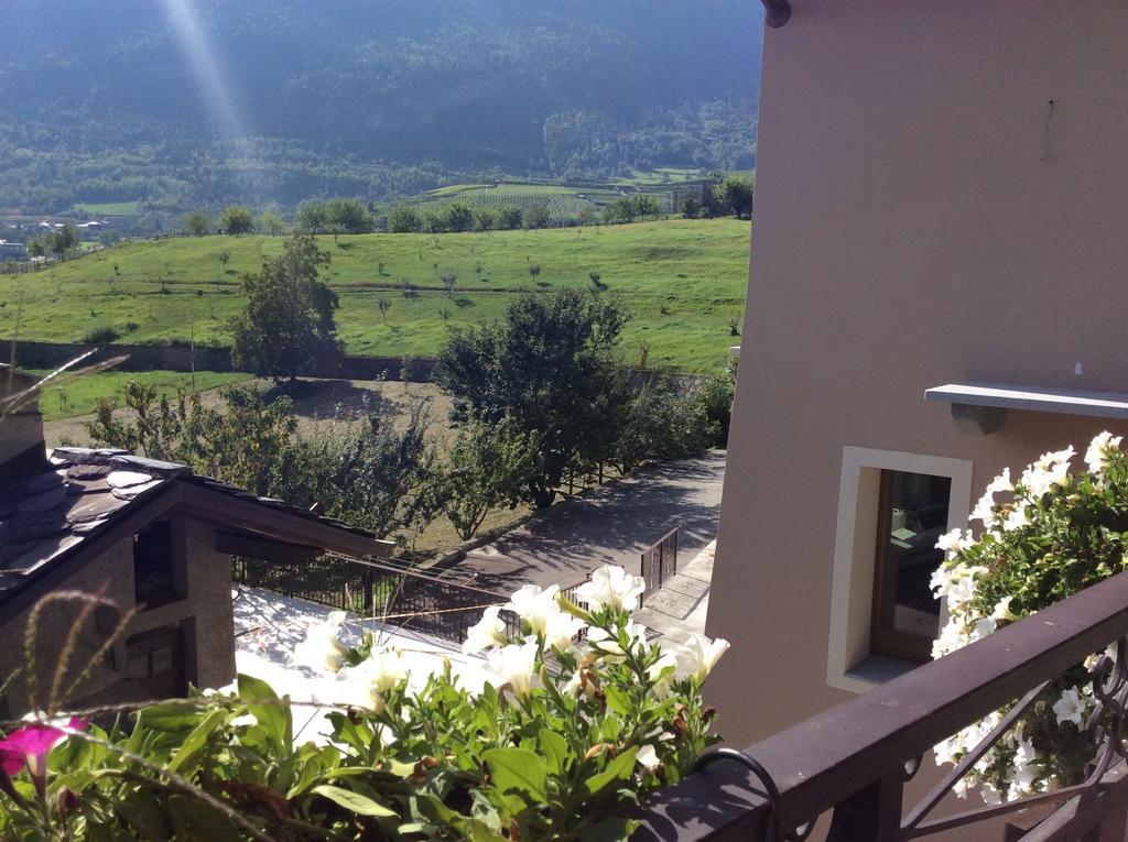 B&B La Vieille Meison De Pappa Sarre Buitenkant foto